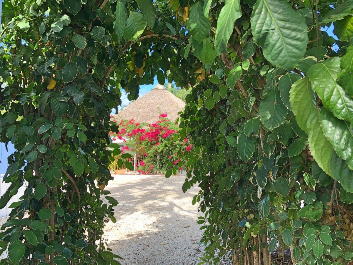 基拉戈岛鹈鹕别墅宾馆 外观 照片